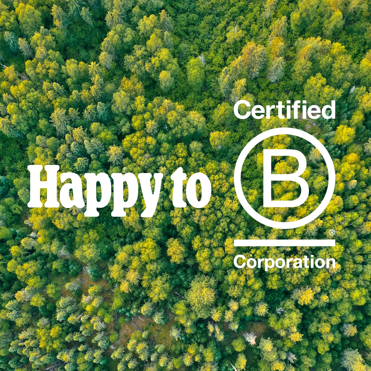 Planted receives B Corp certification